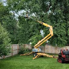 Lawn Watering Services in Shrewsbury, PA